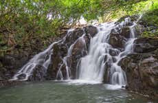 Excursão privada a Vallée des Couleurs e La Vanille