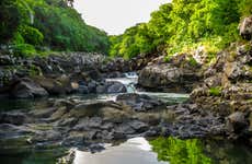 Trilha pelo Parque Nacional Gargantas do Rio Negro